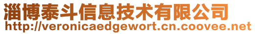 淄博泰斗信息技术有限公司