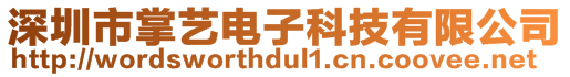 深圳市掌藝電子科技有限公司