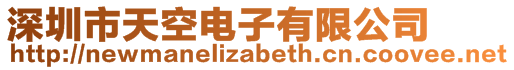 深圳市天空電子有限公司