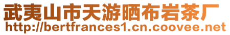 武夷山市天游曬布巖茶廠