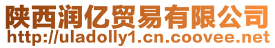 陜西潤(rùn)億貿(mào)易有限公司
