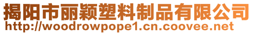 揭陽市麗穎塑料制品有限公司