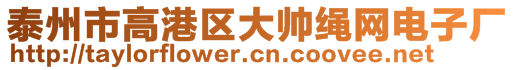 泰州市高港區大帥繩網電子廠