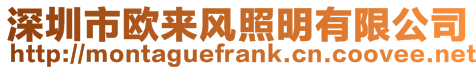 深圳市歐來風照明有限公司