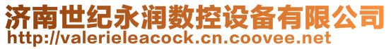 濟(jì)南世紀(jì)永潤(rùn)數(shù)控設(shè)備有限公司