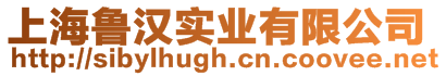 上海魯漢實業(yè)有限公司