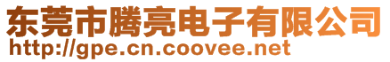東莞市騰亮電子有限公司