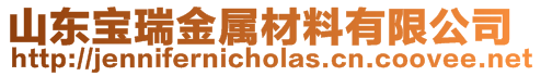 山東寶瑞金屬材料有限公司