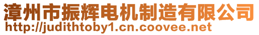 漳州市振輝電機制造有限公司