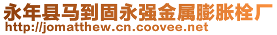 永年縣馬到固永強(qiáng)金屬膨脹栓廠