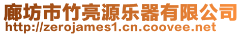 廊坊市竹亮源乐器有限公司