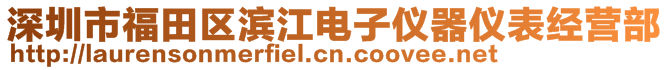 深圳市福田区滨江电子仪器仪表经营部