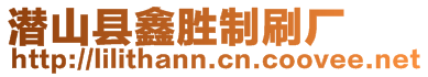 潛山縣鑫勝制刷廠