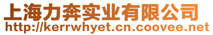 上海力奔實業(yè)有限公司