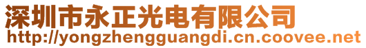 深圳市永正光電有限公司