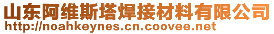 山东阿维斯塔焊接材料有限公司