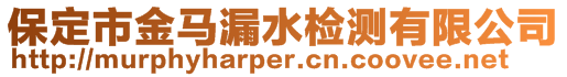 保定市金馬漏水檢測有限公司