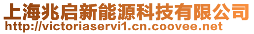 上海兆启新能源科技有限公司