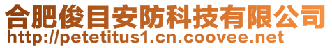 合肥俊目安防科技有限公司