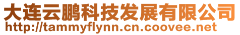 大連云鵬科技發(fā)展有限公司