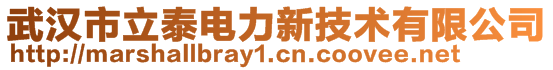武漢市立泰電力新技術有限公司