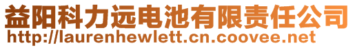 益阳科力远电池有限责任公司