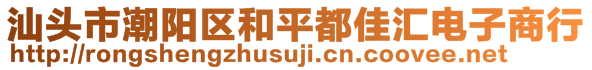 汕頭市潮陽(yáng)區(qū)和平都佳匯電子商行