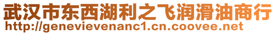 武漢市東西湖利之飛潤滑油商行