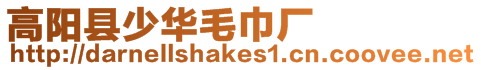 高陽縣少華毛巾廠