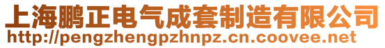 上海鹏正电气成套制造有限公司