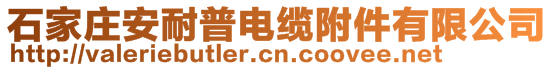 石家莊安耐普電纜附件有限公司