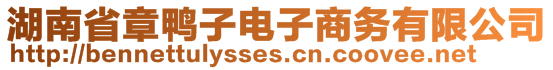 湖南省章鴨子電子商務(wù)有限公司