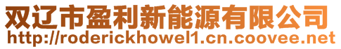 雙遼市盈利新能源有限公司