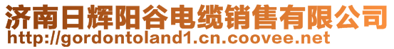 濟(jì)南日輝陽谷電纜銷售有限公司