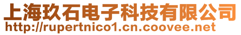 上海玖石電子科技有限公司