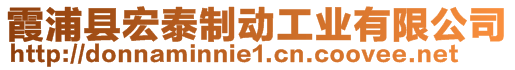 霞浦县宏泰制动工业有限公司