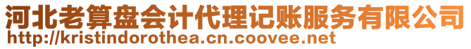 河北老算盤會(huì)計(jì)代理記賬服務(wù)有限公司
