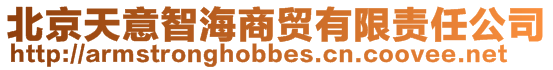 北京天意智海商貿有限責任公司