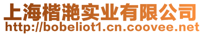 上海楷滟實(shí)業(yè)有限公司