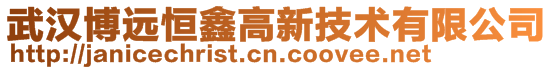 武漢博遠恒鑫高新技術有限公司