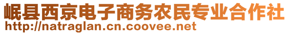 岷縣西京電子商務(wù)農(nóng)民專(zhuān)業(yè)合作社