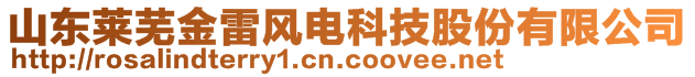 山東萊蕪金雷風(fēng)電科技股份有限公司