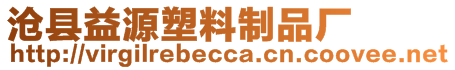 滄縣益源塑料制品廠