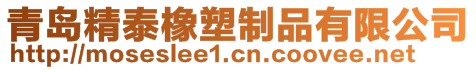 青島精泰橡塑制品有限公司