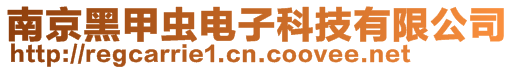 南京黑甲虫电子科技有限公司