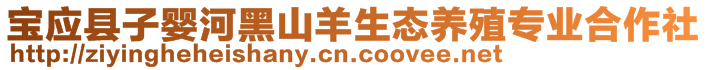 寶應(yīng)縣子?jì)牒雍谏窖蛏鷳B(tài)養(yǎng)殖專(zhuān)業(yè)合作社