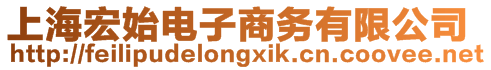 上海宏始電子商務有限公司