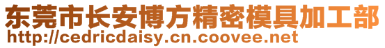 東莞市長(zhǎng)安博方精密模具加工部