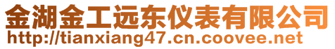 金湖金工远东仪表有限公司