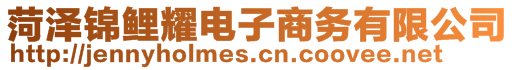 菏澤錦鯉耀電子商務有限公司